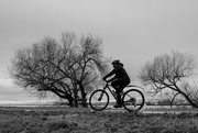 5th Dec 2023 - Cyclist