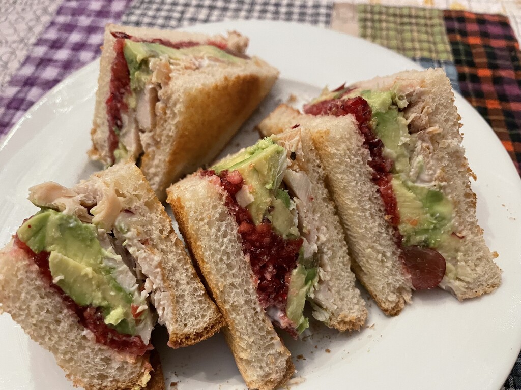 Turkey, cranberry salad, and avocado on toast by margonaut