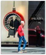 6th Dec 2023 - The man wears Prada..