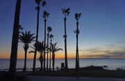 6th Dec 2023 - “Sunset, Palm trees & ocean breeze”