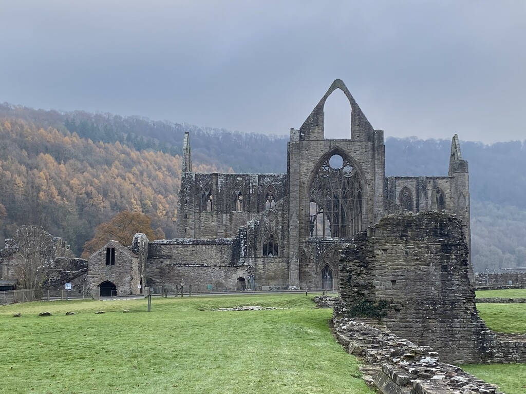 Tintern Abbey at morning by cam365pix