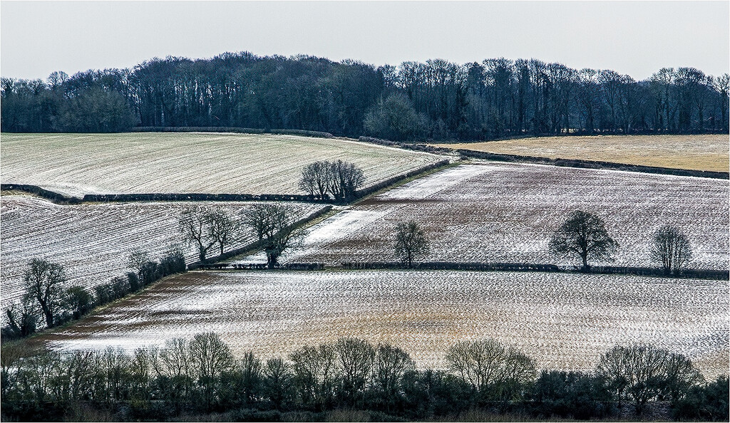 Fields by bournesnapper