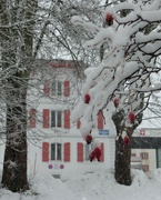 1st Dec 2023 - Swiss red and  white 