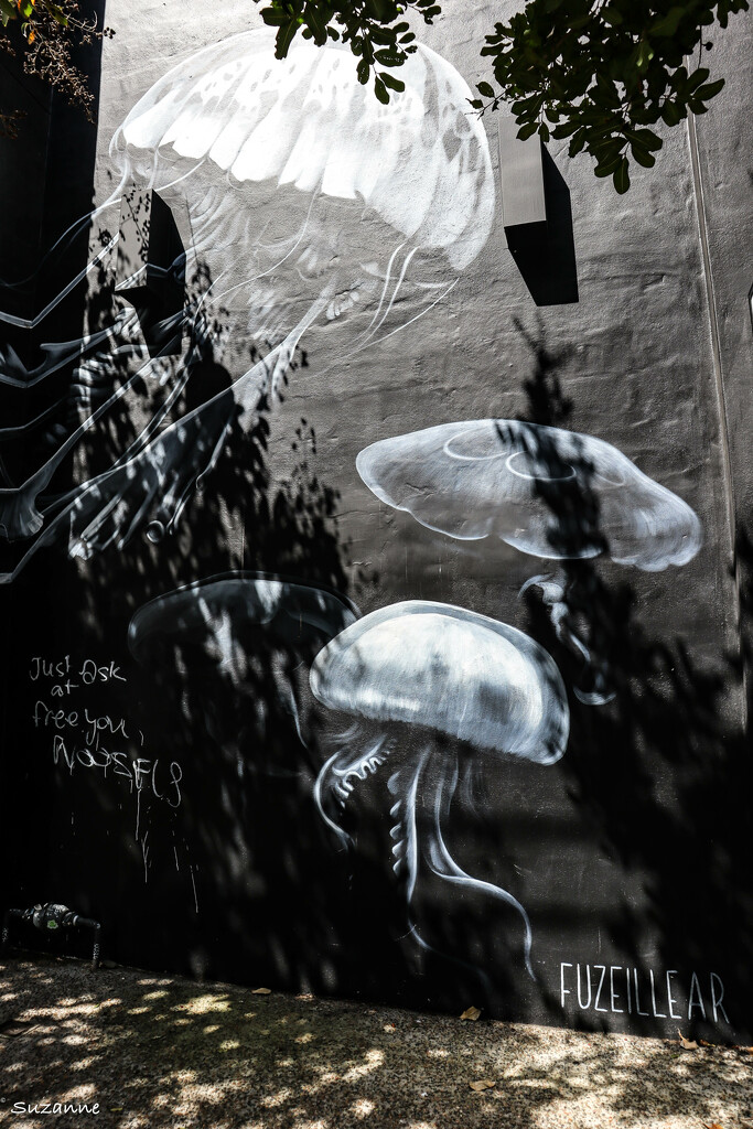 Street Art, Fish Lane, Brisbane by ankers70