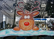 6th Dec 2023 - Rudolph window art