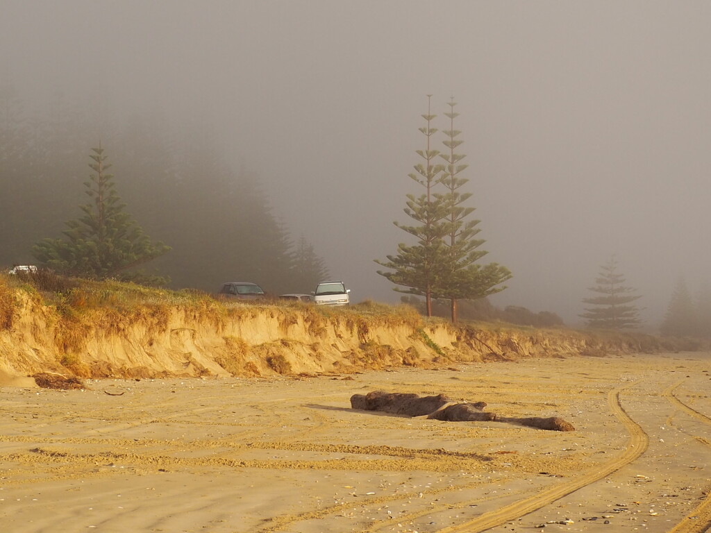 An early misty morning  by Dawn