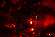 6th Dec 2023 - The Red Tree with Lensbaby
