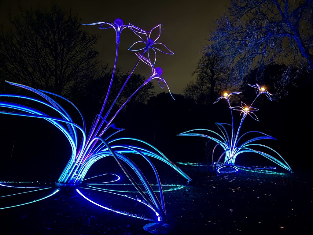 Christmas at Kew Gardens... by anne2013