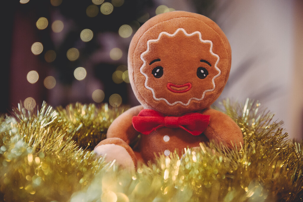 Gingerbread Baby by panoramic_eyes