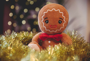 7th Dec 2023 - Gingerbread Baby