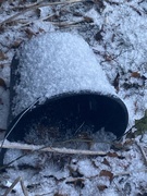 7th Dec 2023 - Snow on a Bucket 