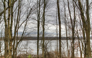 7th Dec 2023 - A peek at a lake through the trees.