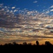 Morning light by monicac