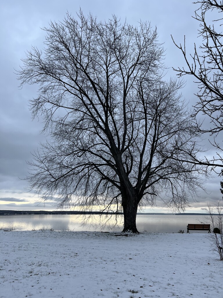 Lone Tree lake by radiogirl