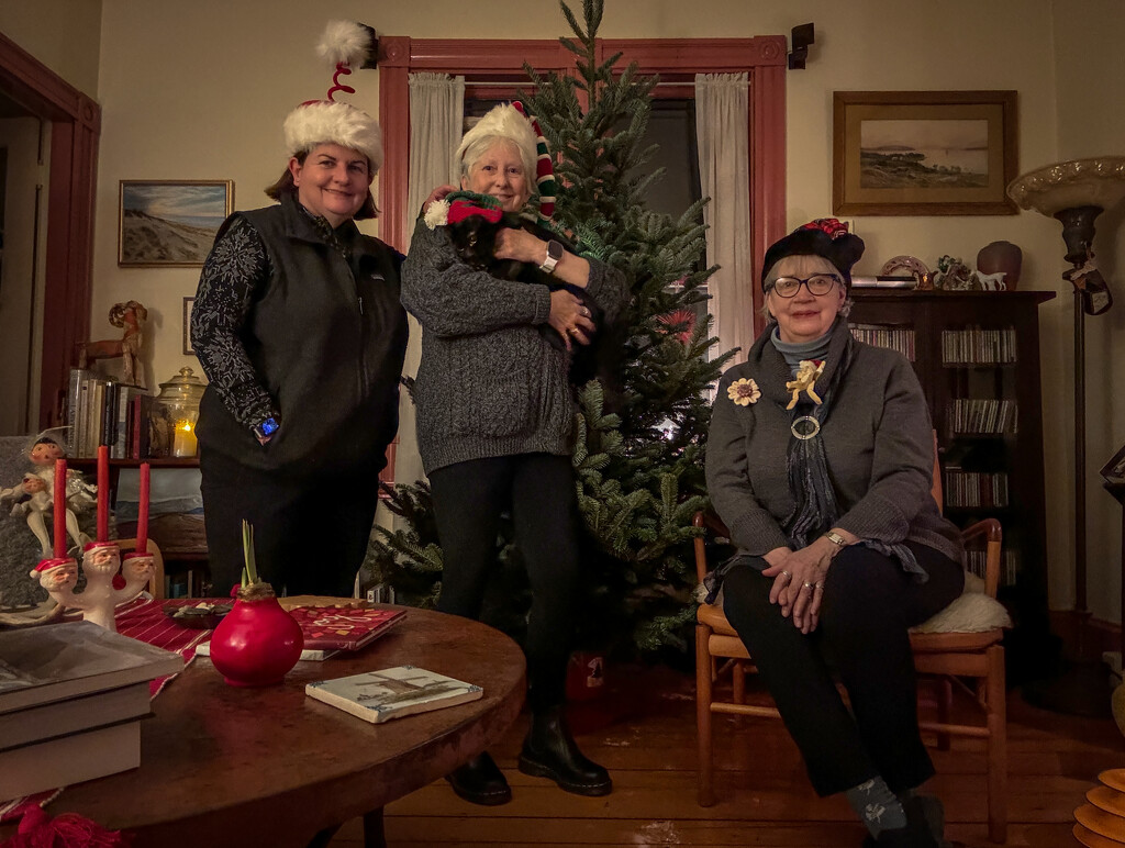 Christmas Elves at Dogcorner Cottage by berelaxed