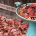 Fall Away Like Dried Leaves by gardenfolk