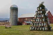 8th Dec 2023 - Vermont Christmas Tree