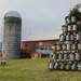 Vermont Christmas Tree by corinnec