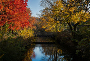 12th Nov 2023 - Lambertville Autumn