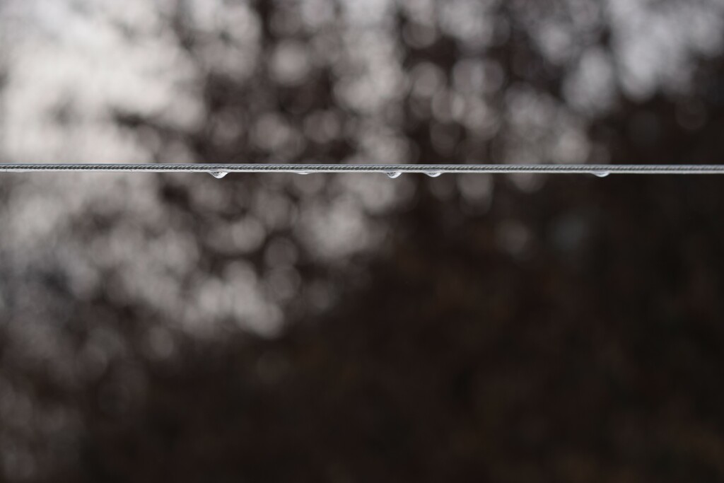 washing line water drops by christophercox