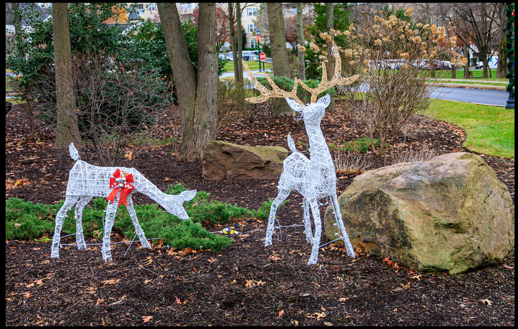 Seasonal Deer by hjbenson