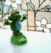 8th Dec 2023 - The frog prince