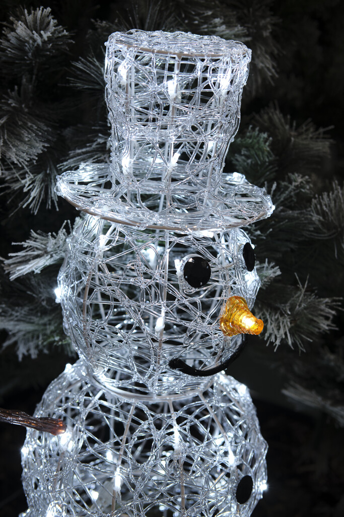 snowman lights by kametty