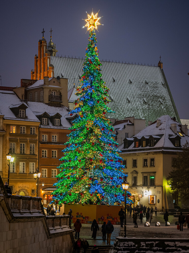 Christmas tree in Warsaw by haskar