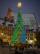 8th Dec 2023 - Christmas tree in Warsaw