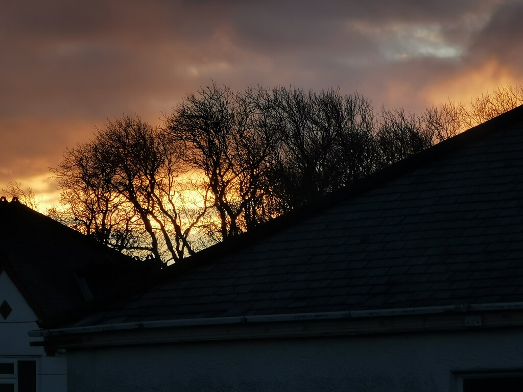 Morning sky by plainjaneandnononsense