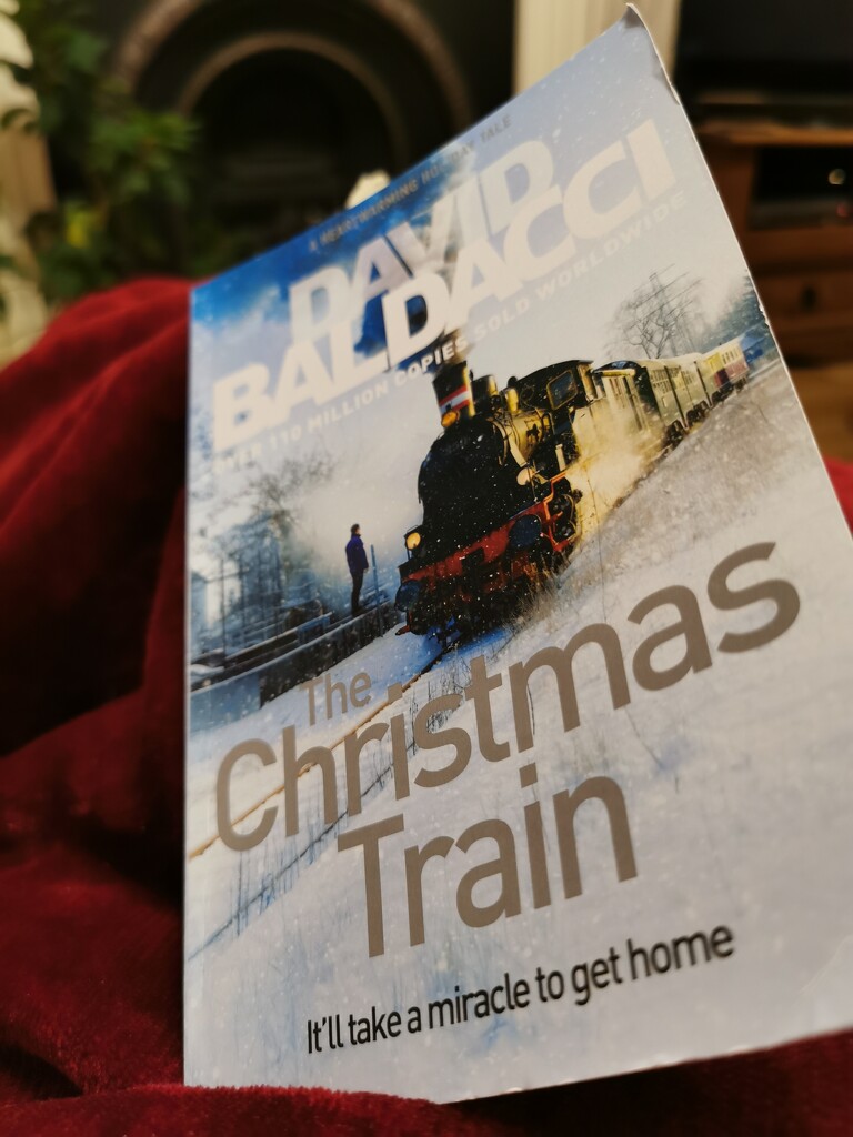 Christmas Reading  by plainjaneandnononsense