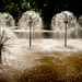 Dandelions Fountain by ankers70