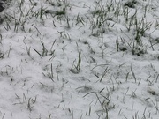 3rd Dec 2023 - A Little Snow