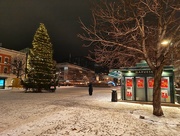 8th Dec 2023 - Christmas tree at City Square 
