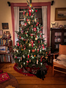 8th Dec 2023 - Christmas Tree 2023