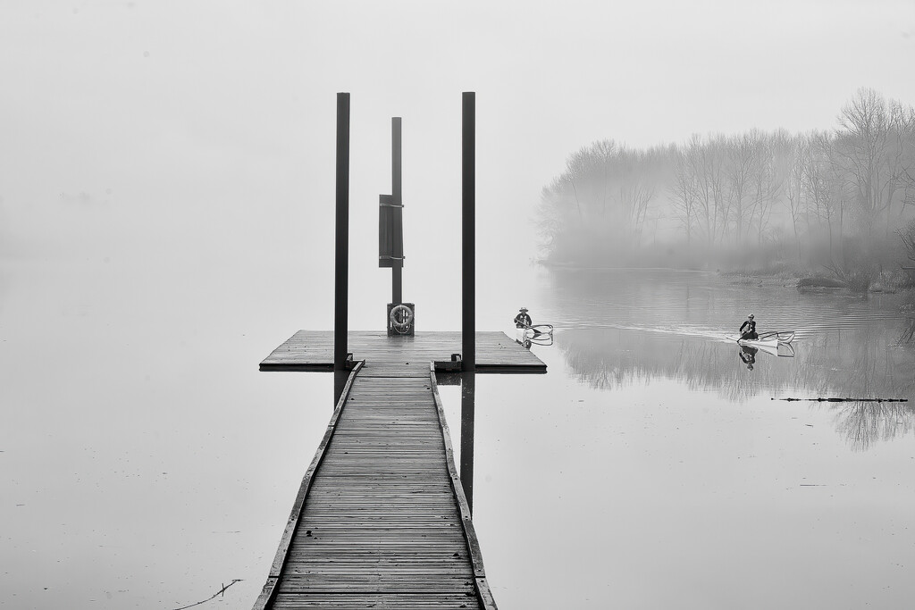 Paddling in the Fog by cdcook48