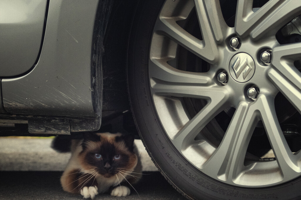 Under Car Inspector by helenw2
