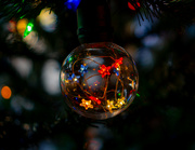 9th Dec 2023 - Holiday Lights