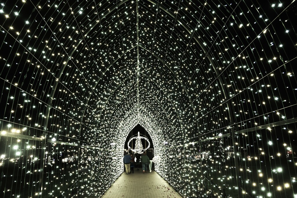 Tunnel of Lights by lynnz