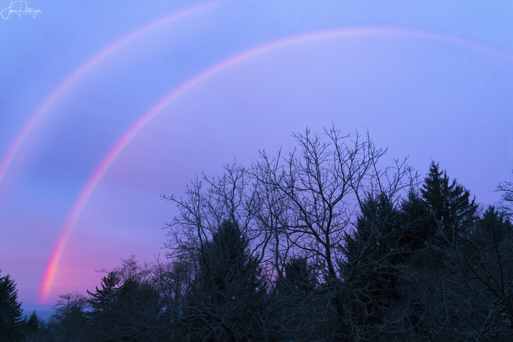 Dawn Rainbow  by jgpittenger