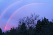 9th Dec 2023 - Dawn Rainbow 