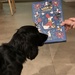 Doggy Advent calendar  by happypat