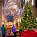 Boxgrove Christmas Tree Festival by josiegilbert
