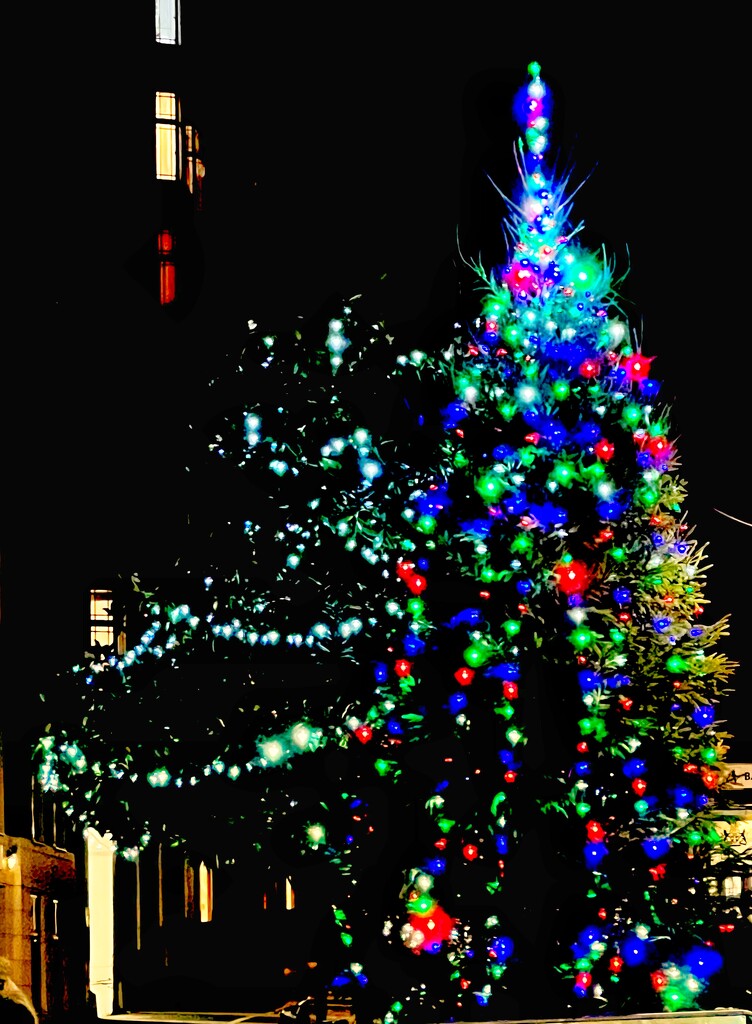 Christmas Lights  by rensala