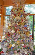 9th Dec 2023 - Christmas tree of dried flowers
