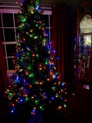 9th Dec 2023 - Tree up, decorating tomorrow 