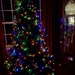 Tree up, decorating tomorrow  by homeschoolmom