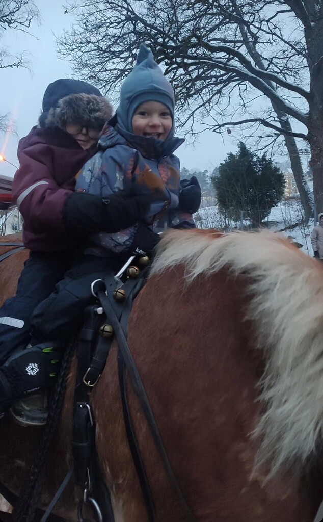 Our two Grandsons in front Fred 21/2 yrs Merlin 6 yrs  by Dawn