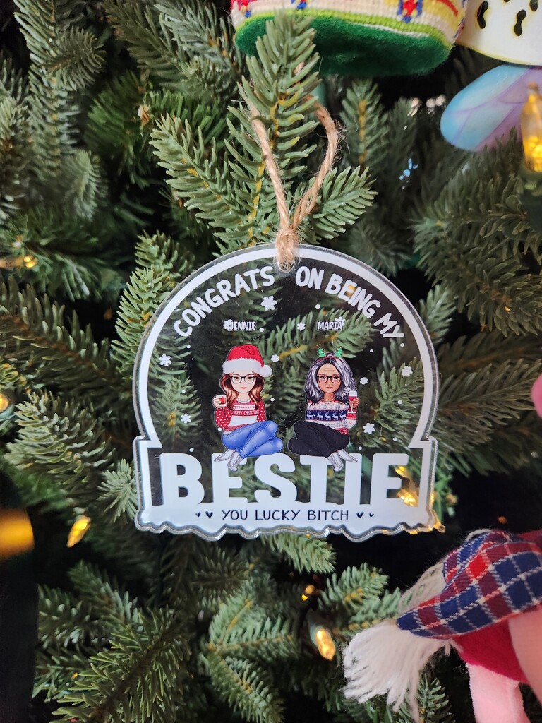 Best Ornament Ever by mariaostrowski