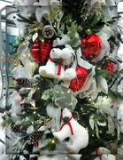 9th Dec 2023 - the polar bears tree